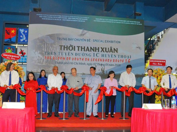 Cosmopolitan , Spotlight